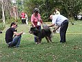 img 111